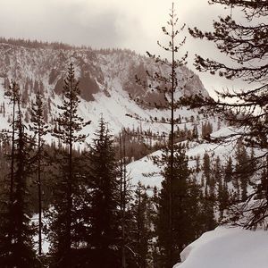 Meet your Posher, Chantai